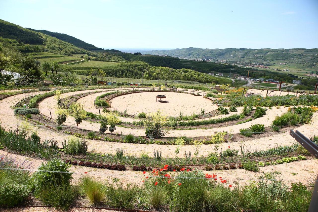 Villa Balis Crema Verona Hills (Adults Only) 格雷扎纳 外观 照片