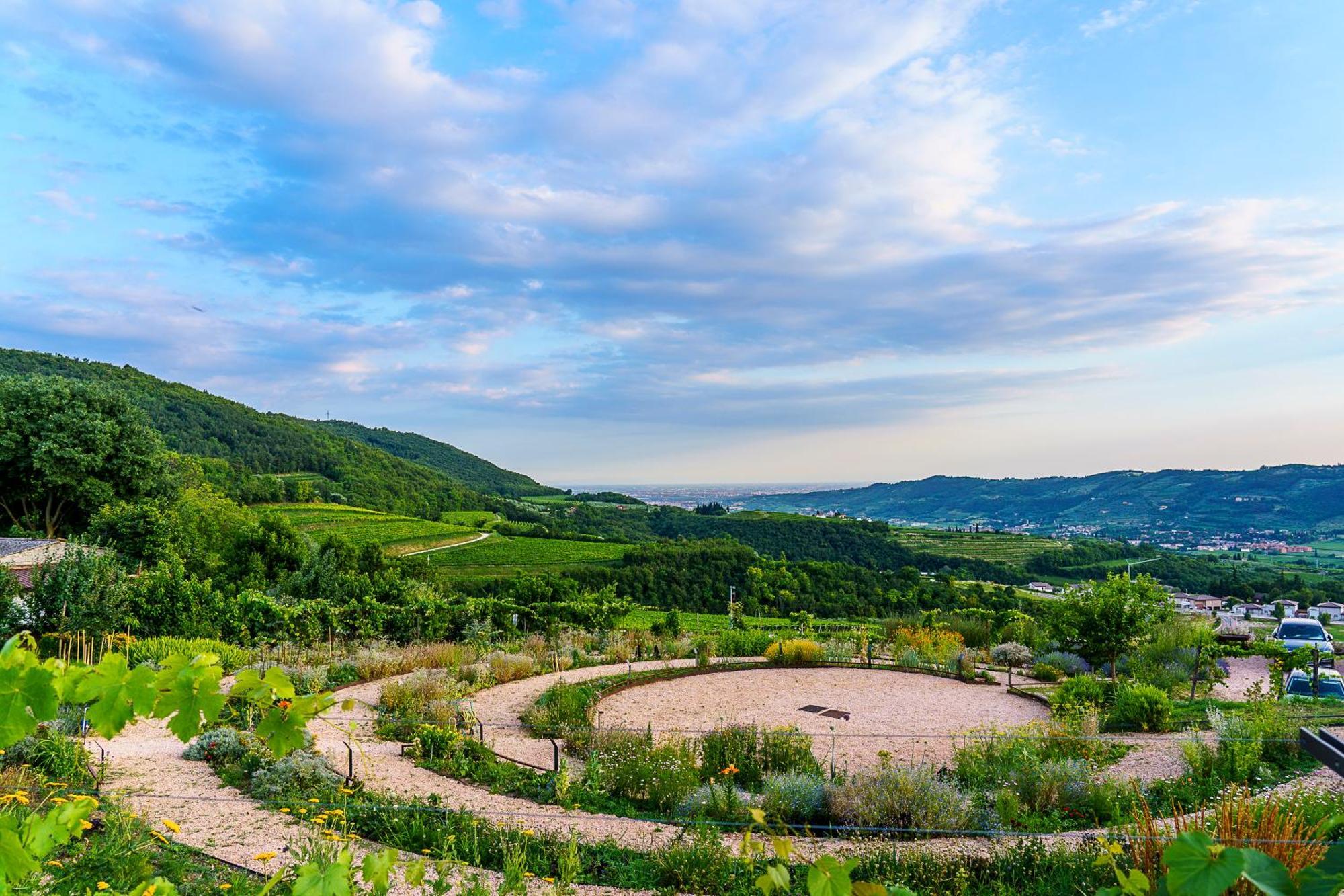 Villa Balis Crema Verona Hills (Adults Only) 格雷扎纳 外观 照片